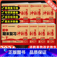 [8册]国一试卷(人教)+阅读答题公式 国一下 [正版]国一上册试卷测试卷全套人教版语文数学英语物理政治历史地理生物同步