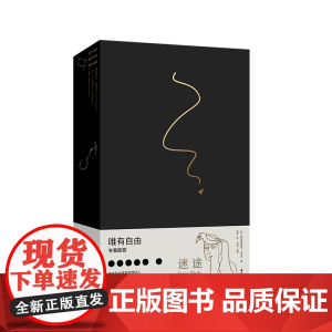 迷途之鸟 12位当代艺术家同题原创画作附赠大海报12星座手绘藏书票泰戈尔诞辰160周年纪念版 中国工人出版社 文学诗歌现