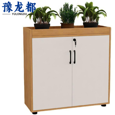 豫龙都文件柜二门台