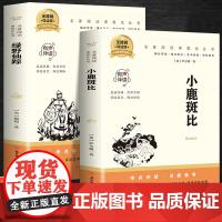 绿野仙踪+小鹿斑比(全2册)百部名著系列有声伴课外拓展阅读一二三四五六年级7-8-9-10-12岁课外阅读书籍青少年世界