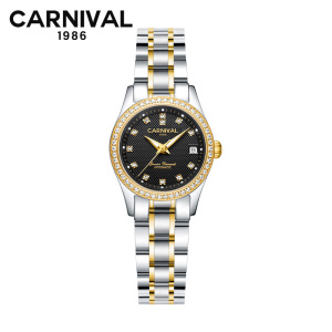 瑞士嘉年华Carnival正品新款手表自动机械表 女士休闲时尚满天星水钻商务女表夜光防水金属精钢腕表JNH8678