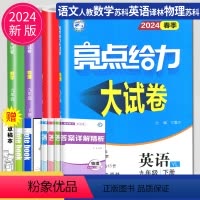 [正版]2024亮点给力大试卷九年级下册语文数学英语物理九下全套人教版苏科版译林版苏教版江苏初三下学期同步跟踪检测分类
