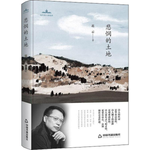 醉染图书悲悯的土地9787506871