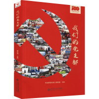 正版新书]我们的党支部杨定坤9787303274857