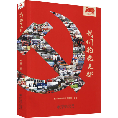正版新书]我们的党支部杨定坤9787303274857