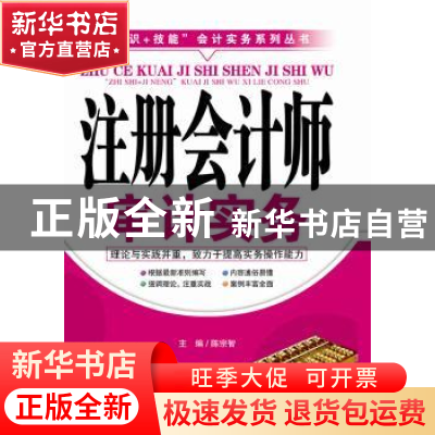 正版 注册会计师审计实务 陈宗智主编 广东经济出版社 9787545433