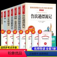 [正版]7册全套快乐读书吧六年级课外阅读书籍经典读小升初小英雄雨来童年爱的教育鲁滨孙漂流记尼尔斯骑鹅旅行记人教版上下册