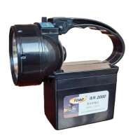 通奥2000 TOAO 强光手提灯 DTZ4536 个