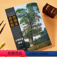 [正版]大师风景树木 西方绘画大师原作高清临本 孙萌主编 安徽美术出版社 8K活页 大师风景油画作品集 正品