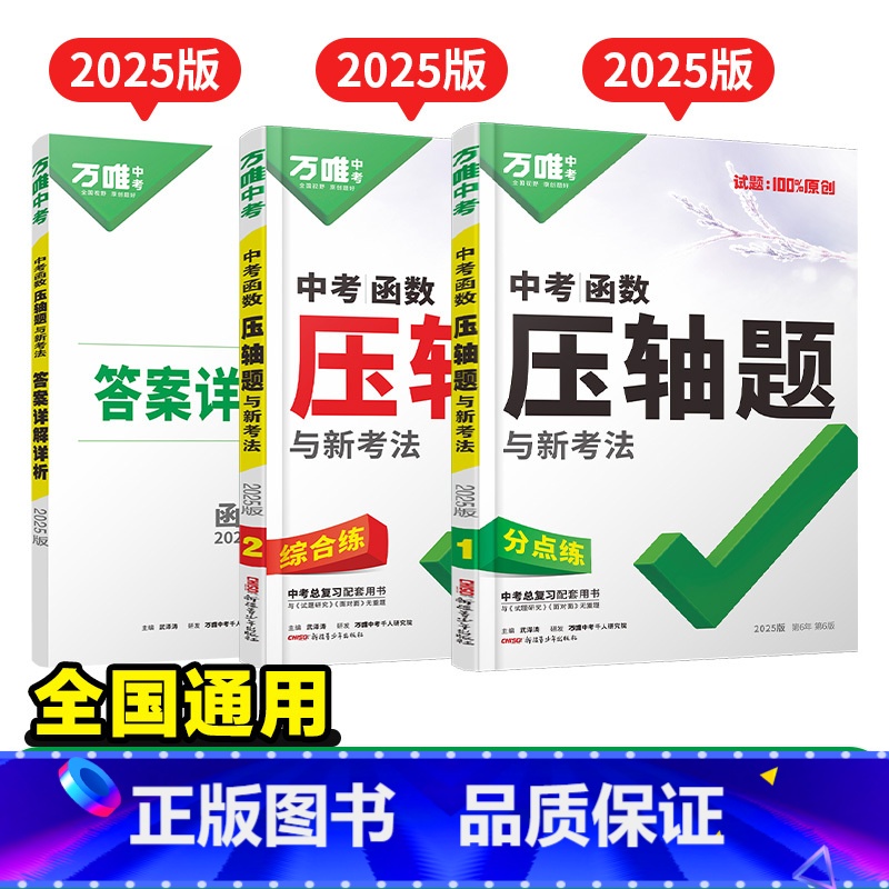 25新书★压轴题[函数] 初中通用 [正版]2025数学压轴题函数初中数学二次函数专题训练初三真题压轴题专项初中九年级刷