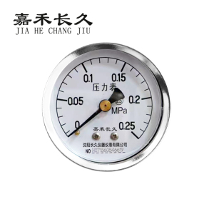 嘉禾长久 轴向压力表检测定制型 Y60Z 块