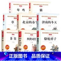 老舍经典作品8册 [正版]中国当代儿童诗歌选 朱自清散文集精选人教版经典常谈 初中一二三年级阅读课外书籍必读书目 7-8