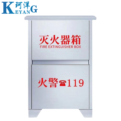 珂洋 灭火器箱 2kg*2 个