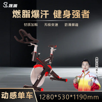 晟渊 商用专业动感单车健身房器材家用室内脚踏车 YP020T