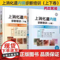 [全2册]上消化道内镜诊断培训上卷+ 下卷共2册 无遗漏观察 发现病变的诀窍 附赠视频内镜介入技术辽宁科学技术出版社