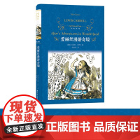 经典译林:爱丽丝漫游奇境 小学语文课本《快乐读书吧》品种维多利亚女王为之着迷的童话书儿童文学经典书籍亲子睡前故事FXY