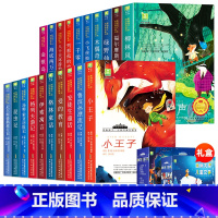 国际获奖儿童文学名著第一辑+第二辑 [正版]国际大奖儿童文学系列获奖名著 小学生一年级二三年级阅读课外书必读老师彩图注音