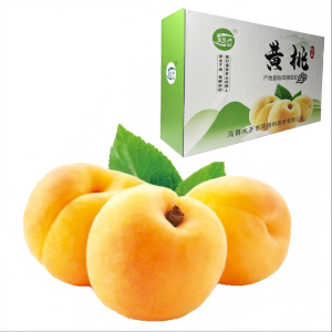 艾提尕黄桃2.5kg/箱