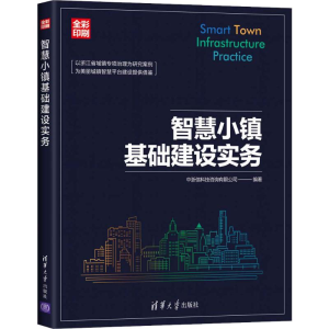 音像智慧小镇基础建设实务中浙信科技咨询有限公司