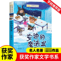 音像全国儿童文学奖获奖作家书系--安迪的魔法书安武林