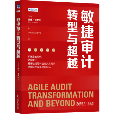 正版新书]敏捷审计转型与超越 [瑞典]托比·德罗什[瑞典]托比·