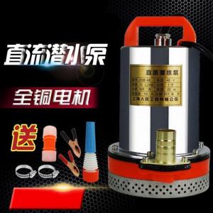 汐岩水泵48V 12V240V直流潜水泵插头的抽水泵家用小型刷车农用500w高扬程 60V320W20米电线