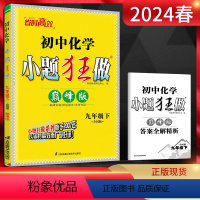 化学 全国版 九年级下 [正版]2024春初中化学巅峰版初三九年级下全国版 9年级下初三化学练习题初中课时作业同步练习册