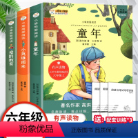 [正版]老师爱的教育小英雄雨来童年书全套3册 高尔基原著完整版6年级小学生六年级课外阅读书籍上册快乐读书吧五年级四年级