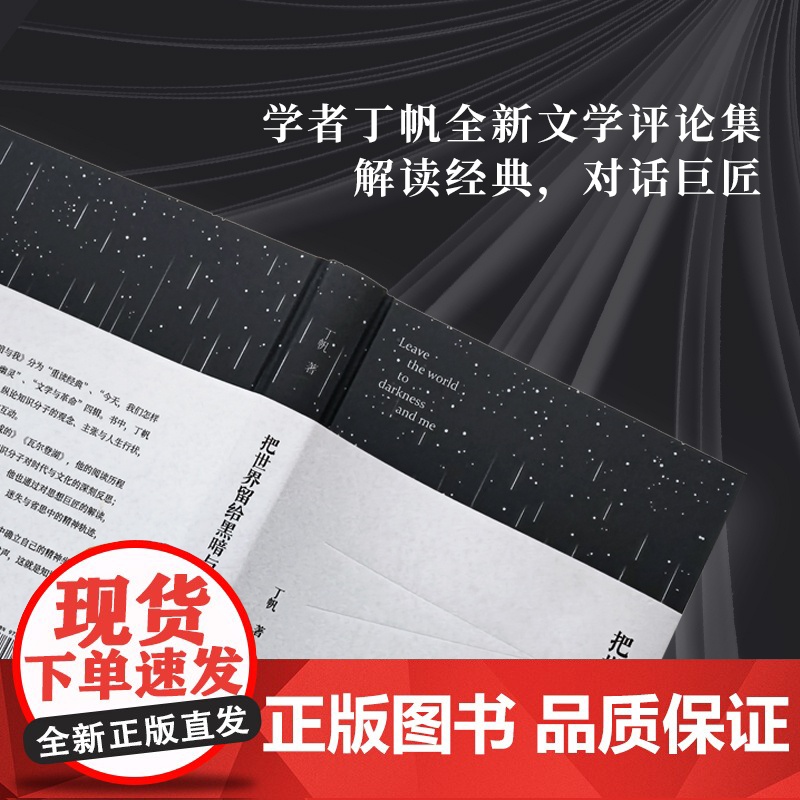 把世界留给黑暗与我:丁帆书评集 学者丁帆全新文学评论集从人性历史美学三重维度重读经典 重申知识分子的志业与担当 译林出版