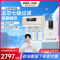 安吉尔净水器家用直饮V6 净饮机 1.46升/分钟净水机J2605-ROB60(A8)+Y3611白色管线机两件套