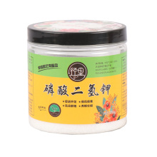 肥料花图片 肥料花图片大全 苏宁易购