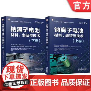 套装 钠离子电池 材料 表征与技术 上下卷 套装全2册 玛拉 马格达莱纳 蒂廷斯 钠离子电池材料理论技术应用书籍