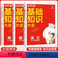 3本[语文+数学+英语]基础知识大全 小学升初中 [正版]2024新版小升初基础知识大全语文数学英语人教版小学基础知识点
