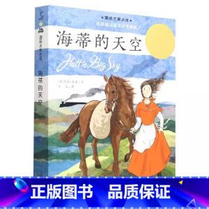 海蒂的天空 [正版]三十五公斤的希望纽伯瑞国际大奖儿童文学小说系列全套集升级版小学生三四五六年级课外阅读经典书籍新蕾出版