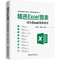 音像精进Excel图表(成为Excel图表高手)周庆麟,周奎奎