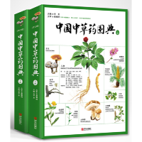 醉染图书中国草图典(全2册)9787555272007