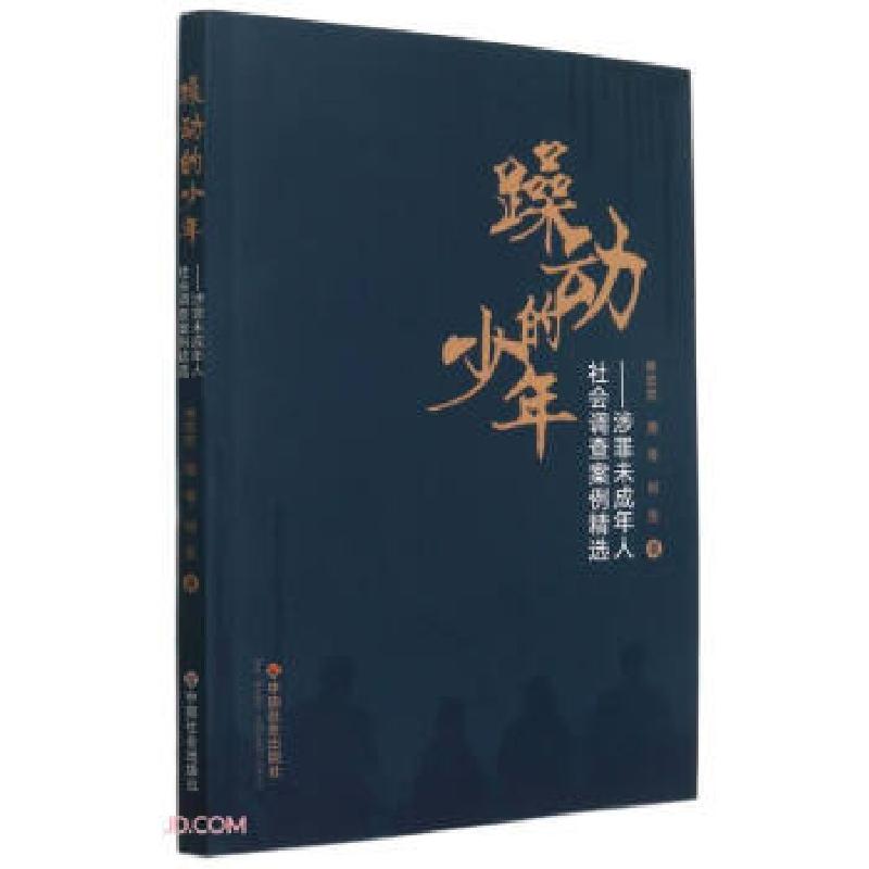 正版新书]躁动的少年:涉罪未成年人社会调查案例精选林欢欢,周