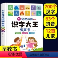 会说话的识字大王有声书 [正版]宝宝学说话语言表达启蒙绘本全10册 0-1-2-3岁儿童早教书籍适合一岁半到两岁宝宝幼儿