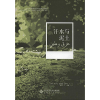 音像汗水与泥土(沙特阿拉伯)阿卜杜·拉赫曼·沙伊尔