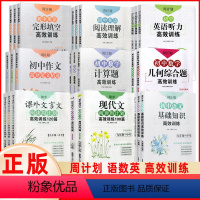 [数学]代数综合题+几何综合题 共2本 八年级/初中二年级 [正版]周计划 初中语文课外文言文数学计算题英语阅读理解 七