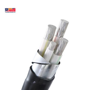 常顺鑫 低压铝芯电缆 ZC-YJLV22 3×16+1×10 米