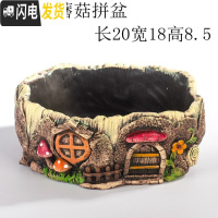 三维工匠多肉花盆大号口径微景观拼盘创意个性套装组合老桩盆水泥 特大号蘑菇拼盆 中等花盆容器