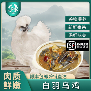 [苏鲜生推荐]三物纪白羽乌鸡800g/只 2只装新鲜现杀冷冻肉质鲜美农家慢养整只顺丰发货