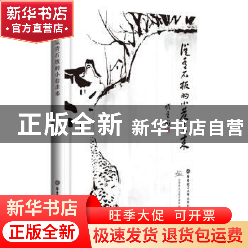 正版 从青石板的小巷走来 小巷星火文化公益社 华东理工大学出版