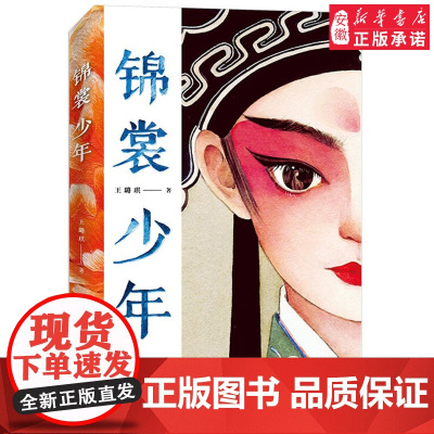 锦裳少年 王璐琪 接力出版社以昆 作为创作题材的小说 中国传统文化青少年读懂昆 10-14岁 文学小学生三四五六年级课外