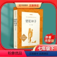 [正版]骆驼祥子七年级下册必读课外书老舍原著无删减初一初中生版人教版中学生读物课外阅读书籍世界名著人民文学出版社海底两