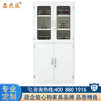 鑫虎威 办公家具药品柜铁皮柜试剂柜实验室化学品安全柜存放柜仪器柜样品柜等器柜