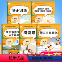 [正版]共5本 小学二年级上册语文专项训练课堂同步训练阅读理解课文内容填空句子训练看拼音写字词生字注音反义词量词同音字