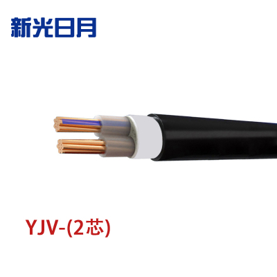 新光日月 交联聚乙烯绝缘电力电缆YJV(2芯)6平方/每米
