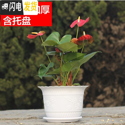 三维工匠波浪花边莲花盆塑料树脂仿陶型大花盆多肉绿萝花盆可水培送托盘 白色[开孔留言] 3个特大+3个大号花盆容器